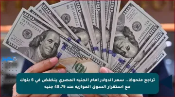 تراجع ملحوظ.. سعر الدولار أمام الجنيه المصري ينخفض في 6 بنوك مع استقرار السوق الموازية عند 48.79 جنيه